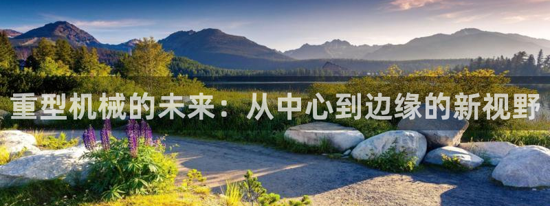 龍八國際官網(wǎng)產(chǎn)品介紹