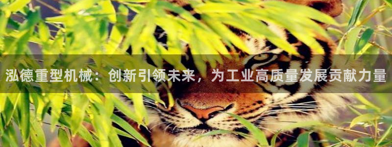 龍八國際網(wǎng)站全網(wǎng)