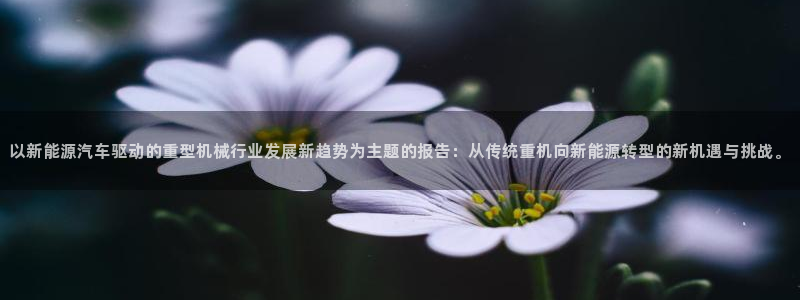 龍八國(guó)際平臺(tái)手機(jī)版