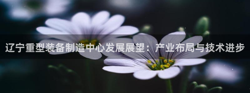 龍八國際app下載手機(jī)客戶端