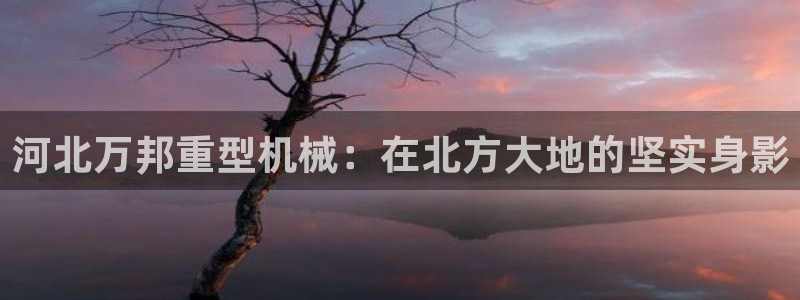 在龍八國際