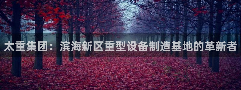 龍八龍八國(guó)際