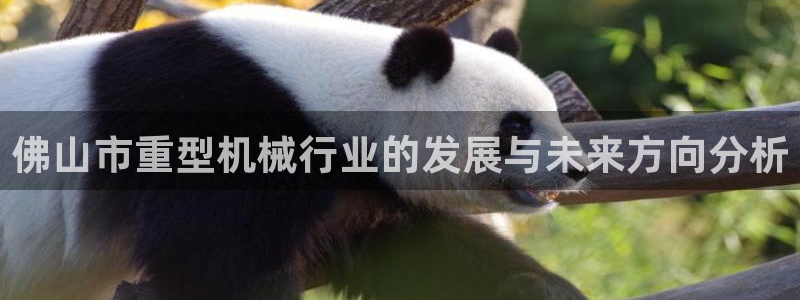 龍八國際官方網(wǎng)站pt