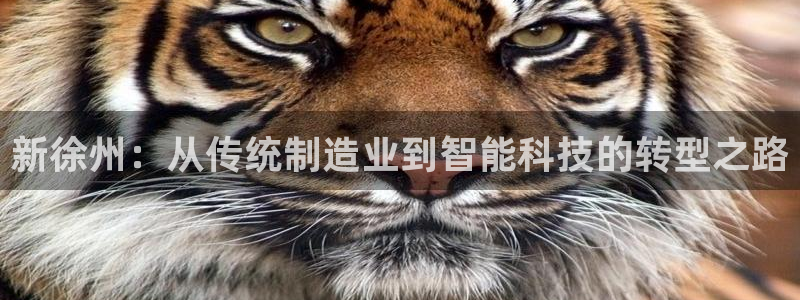 龍八國(guó)際圖片