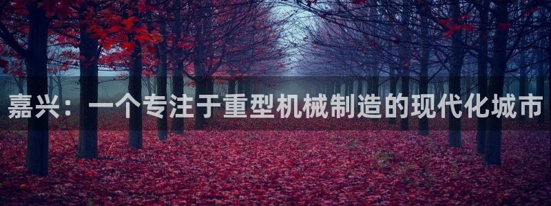 龍八國際游戲下載