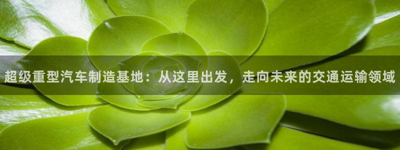 龍八國際娛樂二維碼