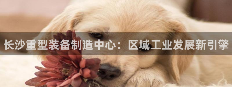 l龍八國際網(wǎng)頁登錄
