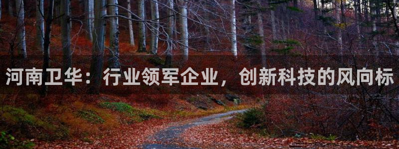 龍八國際long88