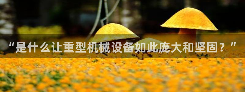 龍八國際娛樂在線